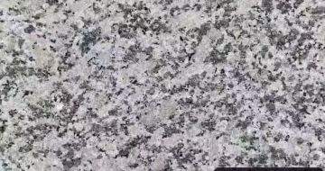 保定 芙蓉白（芝麻白大花）火烧面