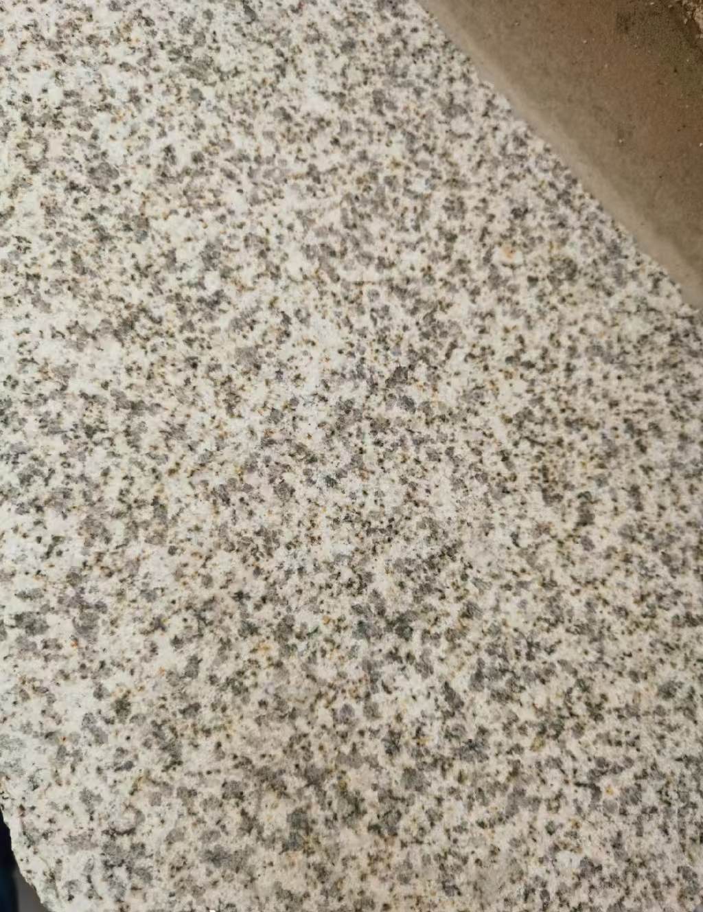保定 黄金麻中黄光面