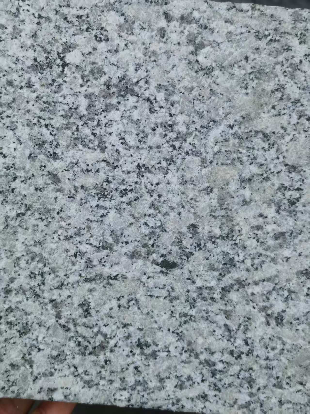保定 芙蓉白火烧面