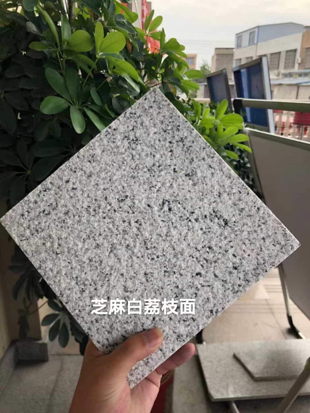 保定 芝麻白荔枝面干挂
