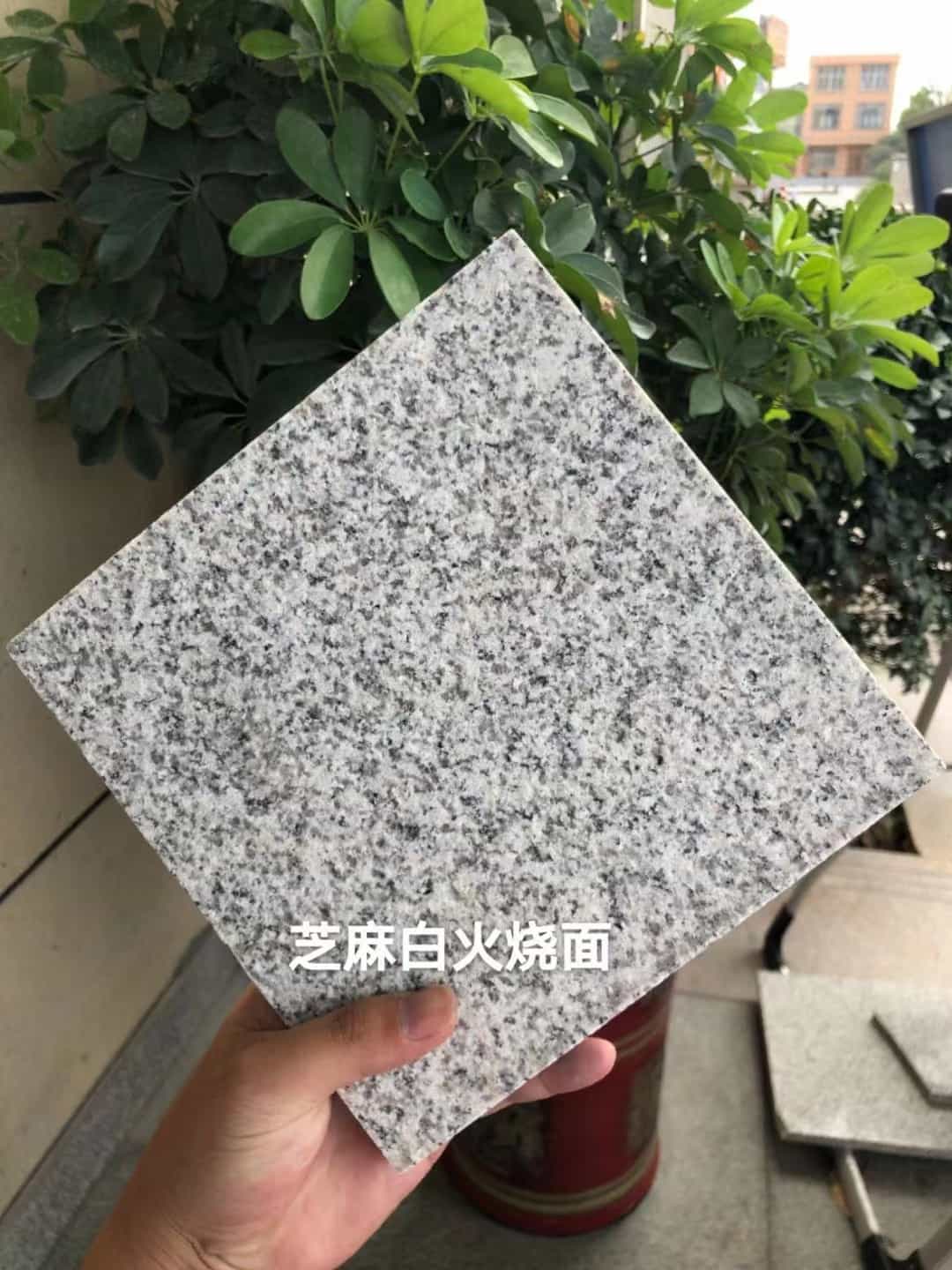 保定芝麻白火烧面地铺