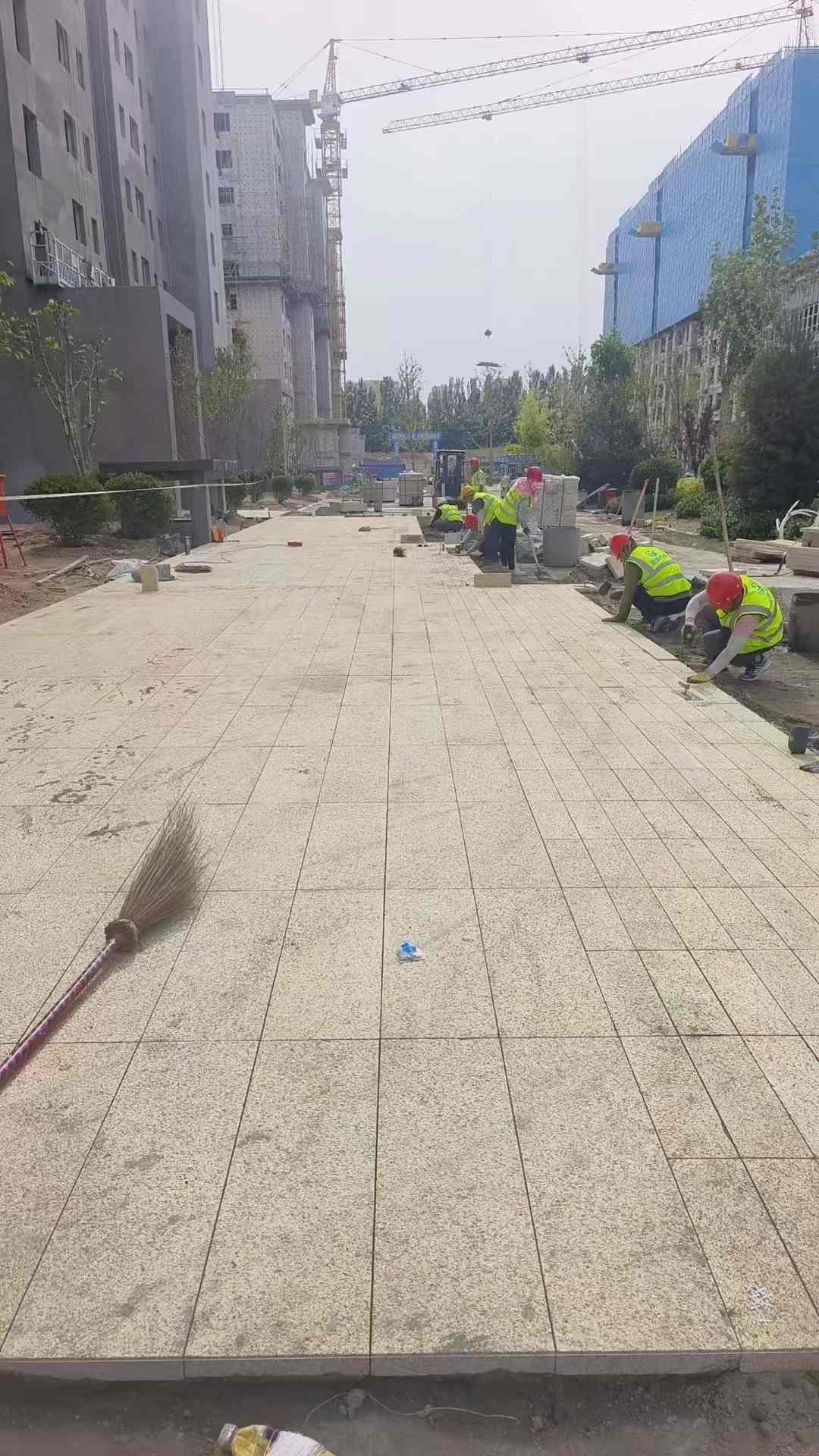 保定黄金麻荔枝面地铺案例